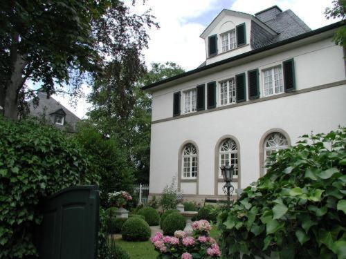 Hotel Bastgen Bed&Breakfast Wittlich Exterior foto